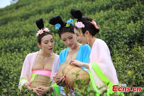 Trong ảnh là các thiếu nữ xinh đẹp đứng hái lá chè non trong bộ y phục cung đình thời nhà Đường.